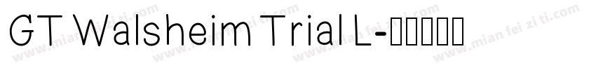 GT Walsheim Trial L字体转换